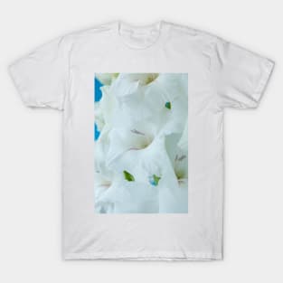 Gladiolus  'White Friendship' T-Shirt